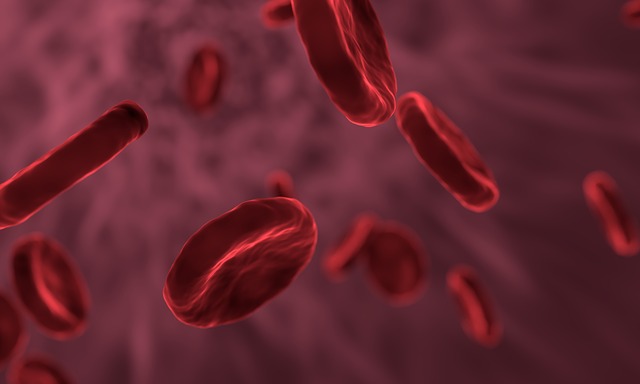 červené krvinky